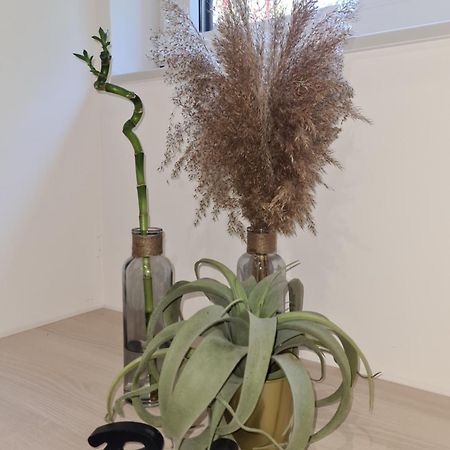 Balance Apartments Koper Dış mekan fotoğraf