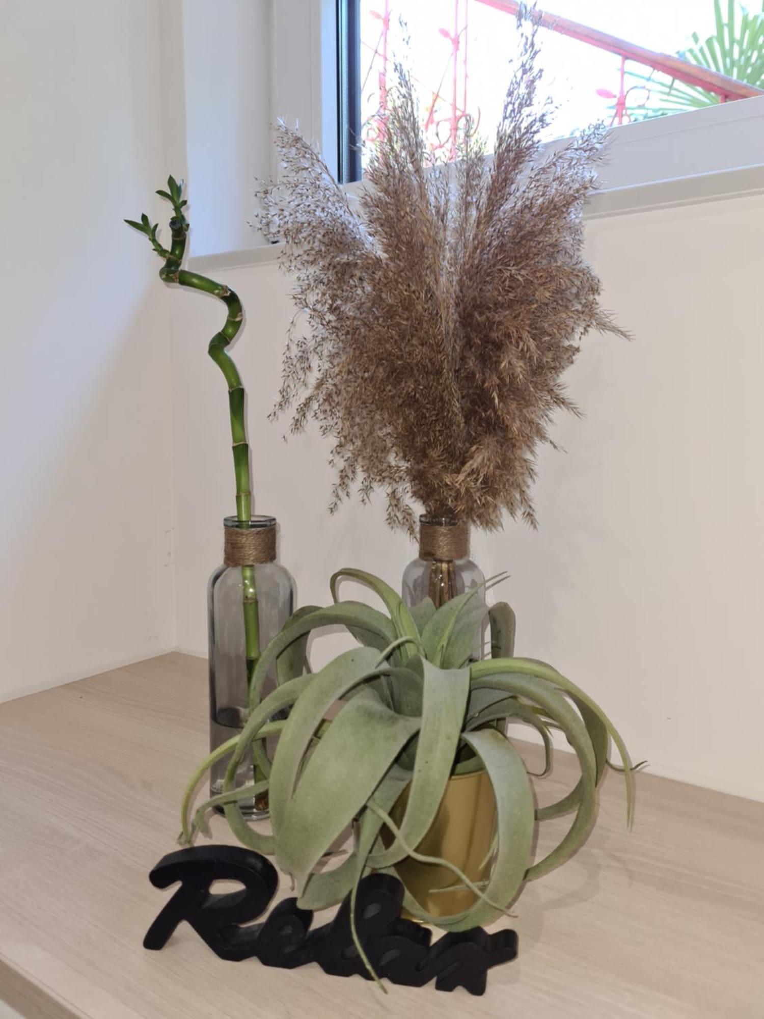Balance Apartments Koper Dış mekan fotoğraf